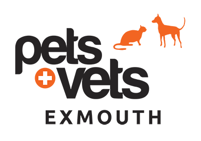 Exmouth Veterinary Clinic