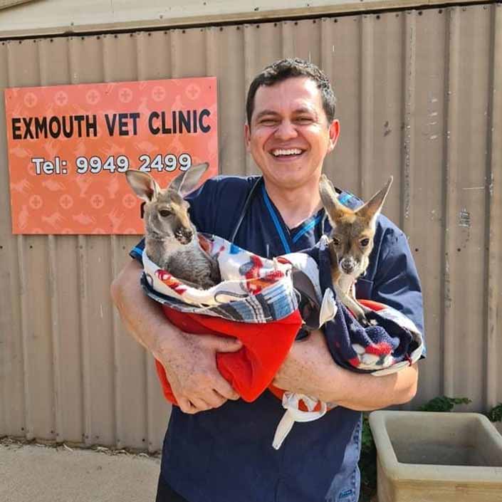 Contact Exmouth Veterinary Clinic