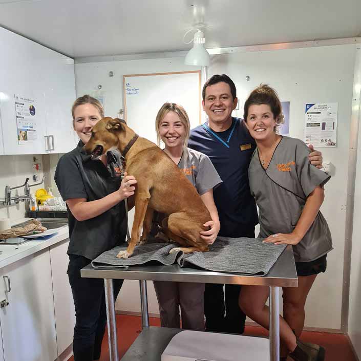 Meet the Team at Exmouth Veterinary Clinic